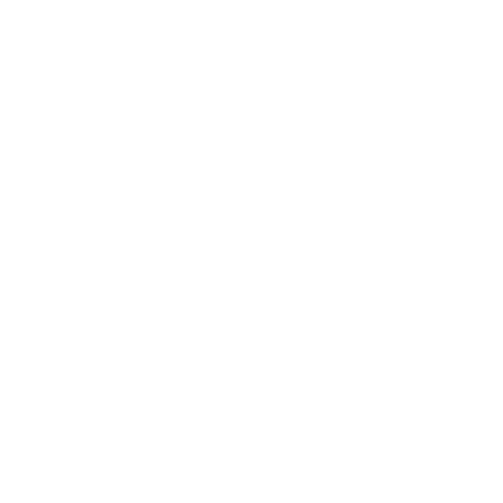 F-Letter icon in white for Flip-Flops by PARADIS SVP