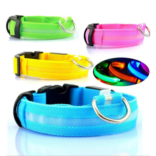 PET LED COLLAR WITH DIFFERENT MODES | Accessories | PARADIS SVP
