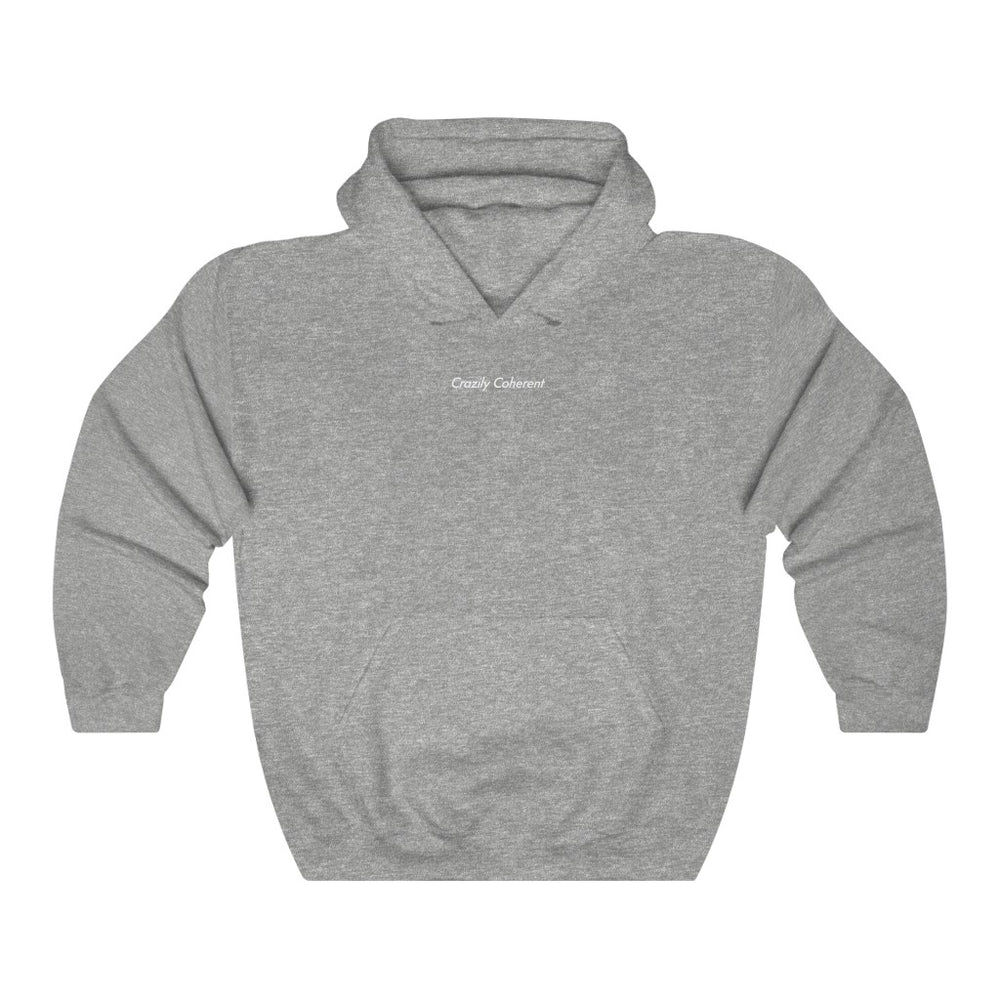 
                      
                        Crazily Coherent - Heavy blend™ hooded sweatshirt | Hoodie | PARADIS SVP
                      
                    