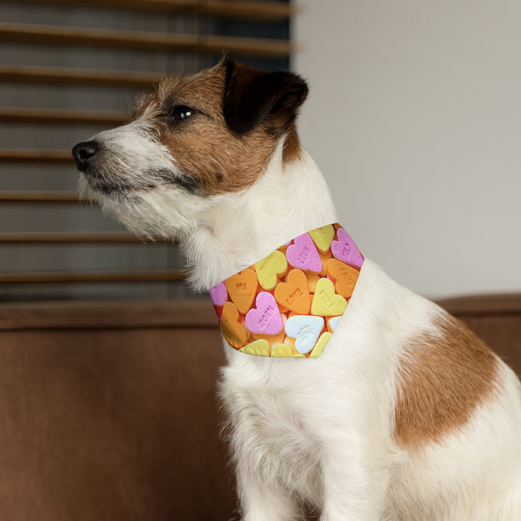 Load image into Gallery viewer, HEART CANDY PAWS - PET BANDANA COLLAR | Pets | PARADIS SVP
