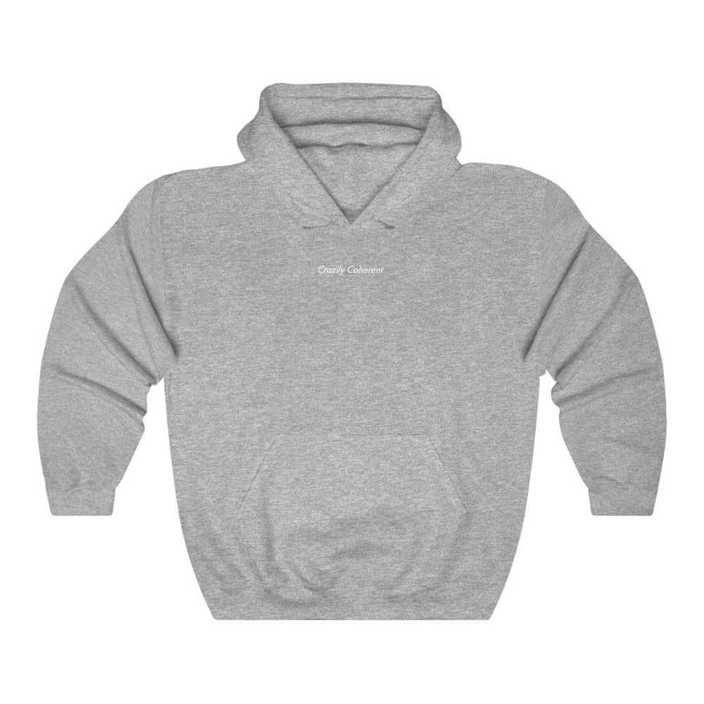 
                      
                        Crazily Coherent - Heavy blend™ hooded sweatshirt | Hoodie | PARADIS SVP
                      
                    