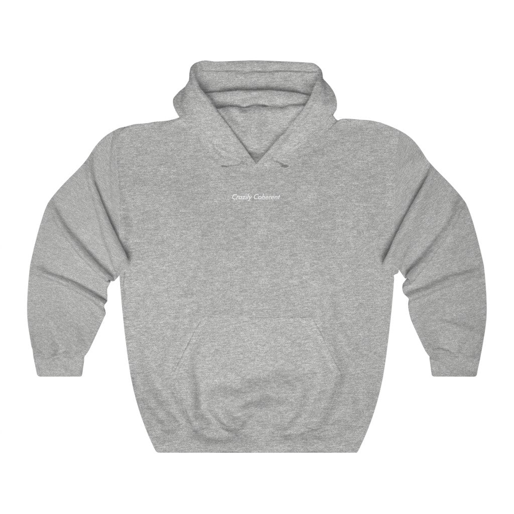 Crazily Coherent - Heavy blend™ hooded sweatshirt | Hoodie | PARADIS SVP