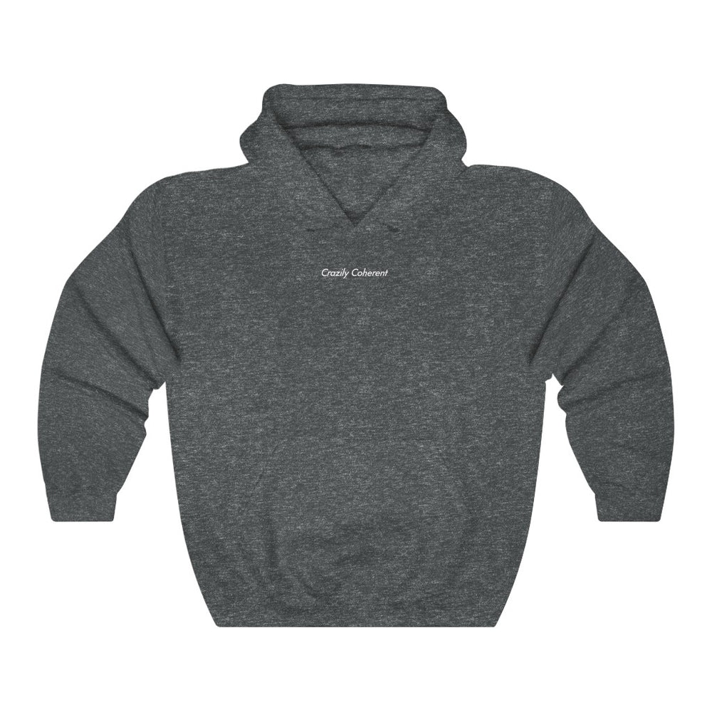 
                      
                        Crazily Coherent - Heavy blend™ hooded sweatshirt | Hoodie | PARADIS SVP
                      
                    