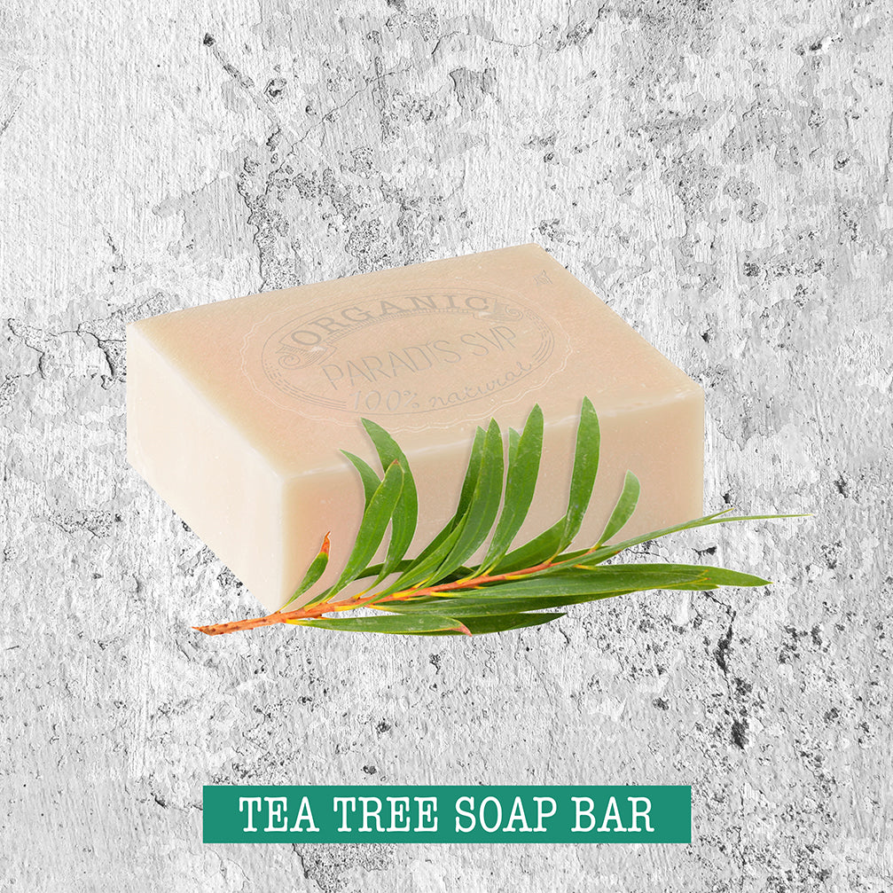 Organic tea-tree Soap | soap-tea-tree | PARADIS SVP