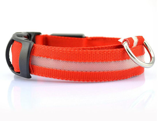 PET LED COLLAR WITH DIFFERENT MODES | Accessories | PARADIS SVP