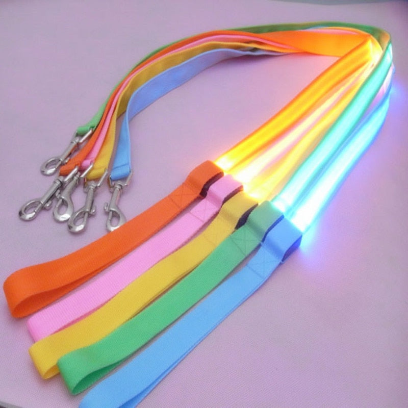 PET LED LEASH | PET ACCESSORIES | PARADIS SVP