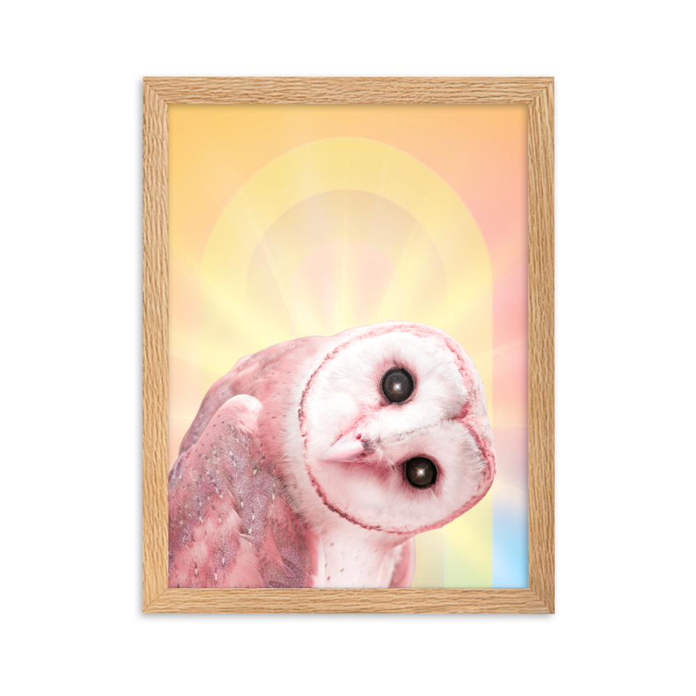 Mystic Owl - Framed Wall Art | FRAMED WALL ART | PARADIS SVP