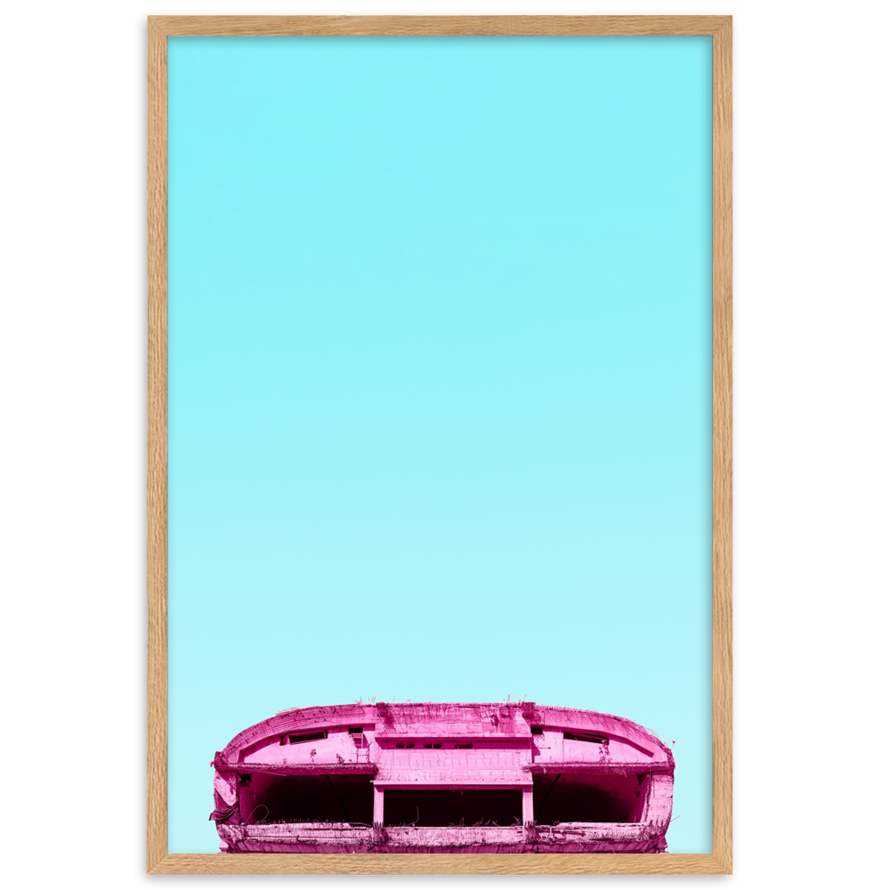 Load image into Gallery viewer, The Dome Theater - Framed Wall Art | FRAMED WALL ART | PARADIS SVP
