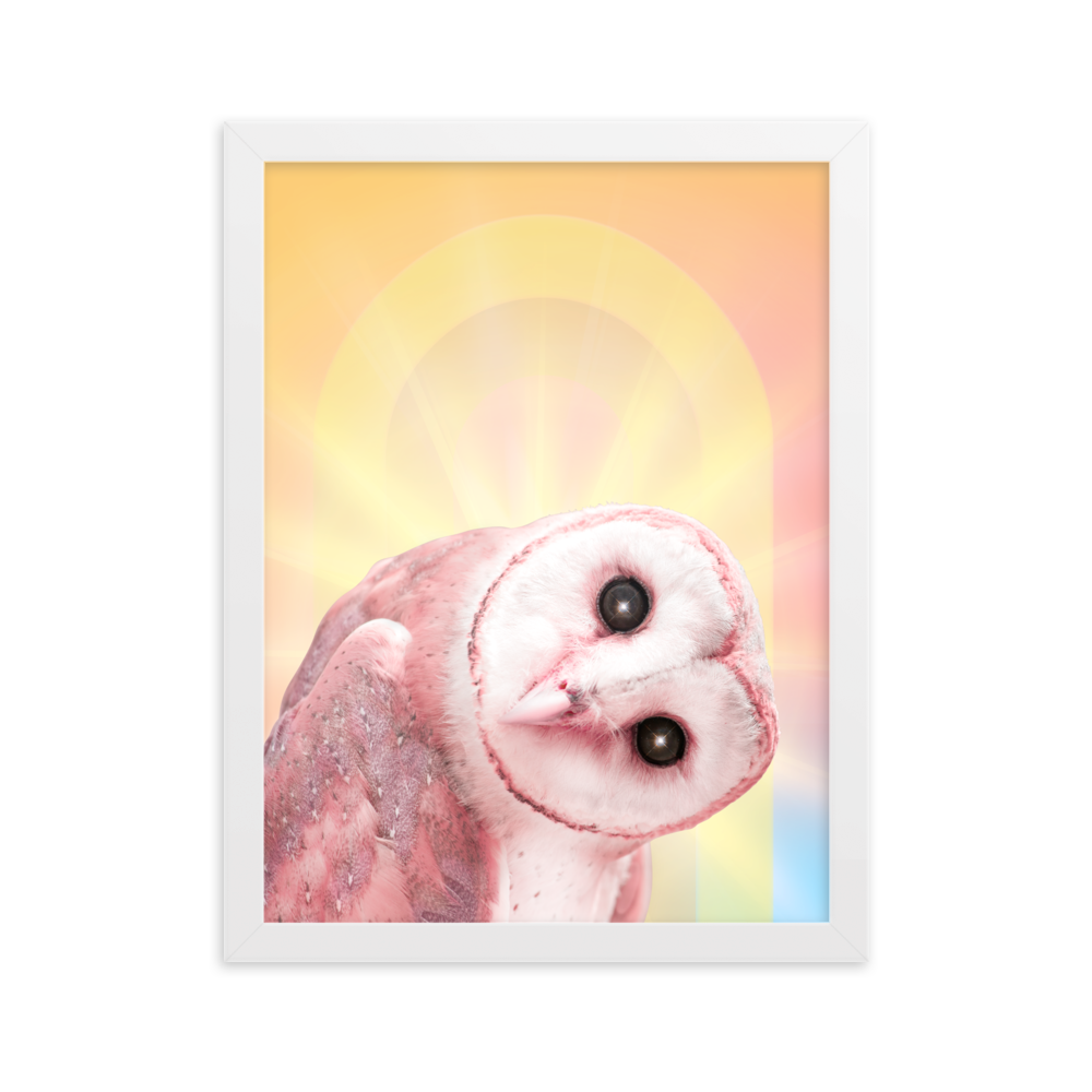 Mystic Owl - Framed Wall Art | FRAMED WALL ART | PARADIS SVP